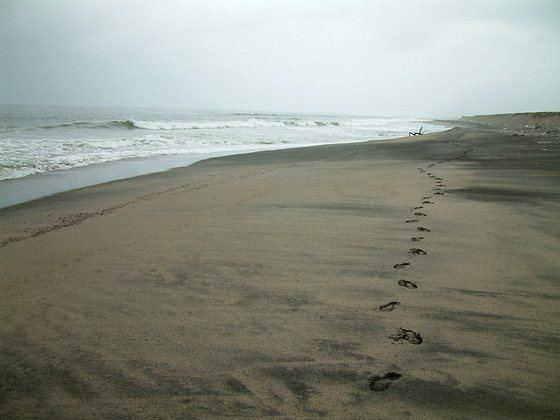 砂浜に続く足跡
