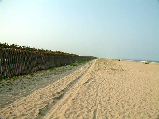 砂浜の上の轍