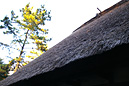 藁葺き屋根